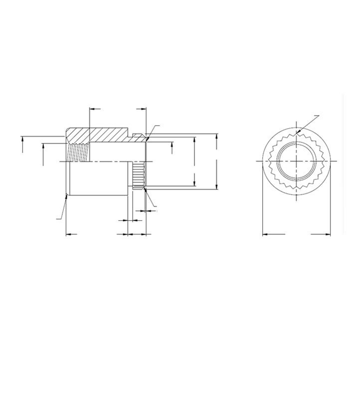 Straight knurling nut in stainless steel